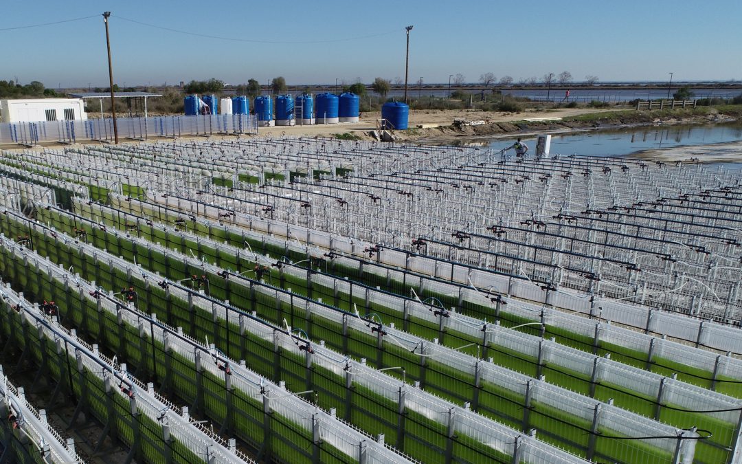 Fábrica da Solvay Portugal será neutra em carbono