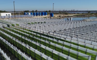 Fábrica da Solvay Portugal será neutra em carbono